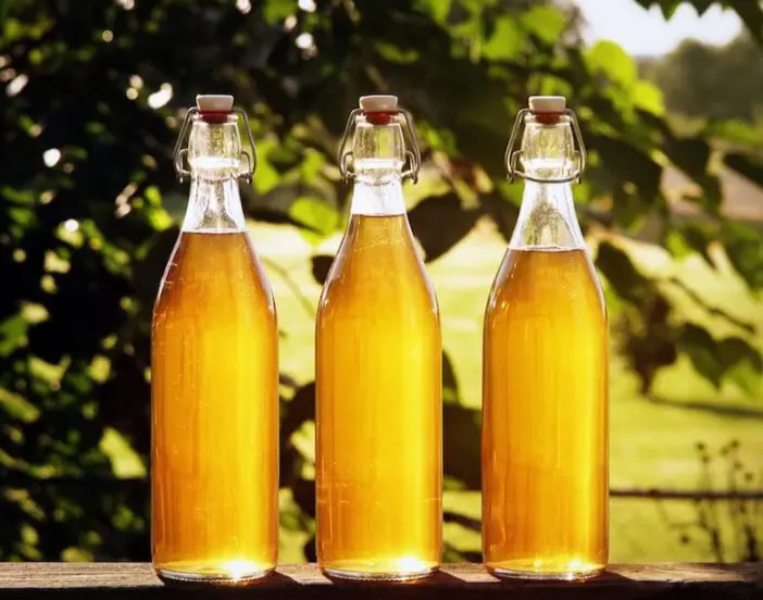 mead-2025